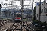 Dcim7076/DSC_0433