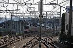 Dcim7076/DSC_0494