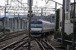 Dcim7077/DSC_0513