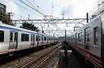 Dcim7077/DSC_0529