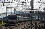 Dcim7077/DSC_0534