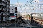 Dcim7077/DSC_0591