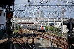 Dcim7077/DSC_0594