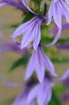 Dcim7079/DSC_0765