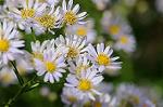 Dcim7079/DSC_0820