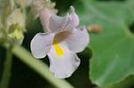 Dcim7079/DSC_0831