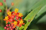 Dcim7079/DSC_0855