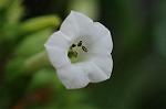 Dcim7079/DSC_0871