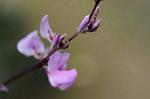 Dcim7079/DSC_0878