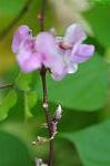Dcim7079/DSC_0881