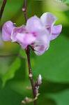 Dcim7079/DSC_0882
