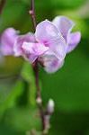 Dcim7079/DSC_0883