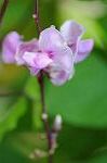 Dcim7079/DSC_0885