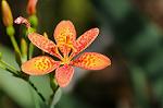 Dcim7080/DSC_0904