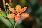 Dcim7080/DSC_0905
