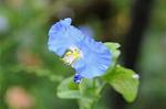 Dcim7080/DSC_0921