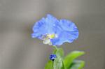 Dcim7080/DSC_0923