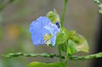 Dcim7080/DSC_0924
