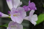 Dcim7080/DSC_1002