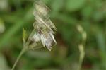 Dcim7088/DSC_8364