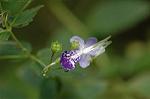 Dcim7088/DSC_8456