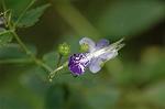Dcim7088/DSC_8457
