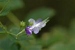 Dcim7088/DSC_8474