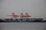 Dcim7091/DSC_2132