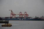 Dcim7091/DSC_2163