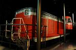 Dcim7101/DSC_3445