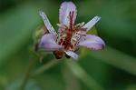 Dcim7102/DSC_8509