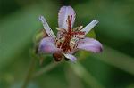 Dcim7102/DSC_8510