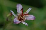 Dcim7102/DSC_8511