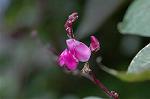 Dcim7110/DSC_8726