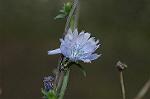 Dcim7110/DSC_8730