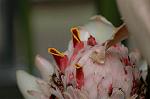 Dcim7110/DSC_8813
