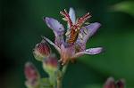 Dcim7112/DSC_8845