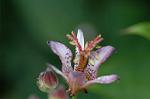 Dcim7112/DSC_8846