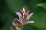 Dcim7112/DSC_8849