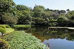 Dcim7113/DSC_3820