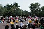 Dcim7120/DSC_4018