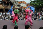 Dcim7120/DSC_4110