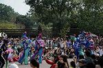 Dcim7121/DSC_4153