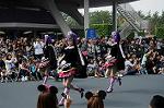 Dcim7121/DSC_4228