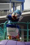 Dcim7121/DSC_4240