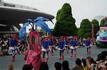 Dcim7124/DSC_4612