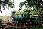 Dcim7125/DSC_4692