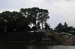 Dcim7133/DSC_5601