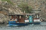 Dcim7134/DSC_9452