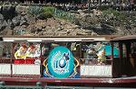 Dcim7135/DSC_9594
